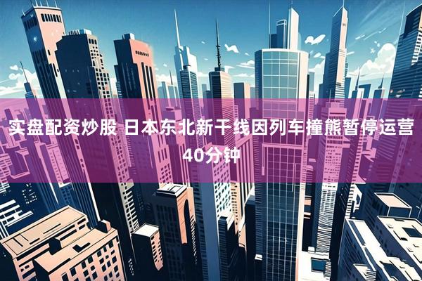 实盘配资炒股 日本东北新干线因列车撞熊暂停运营40分钟